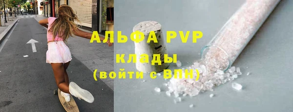 ECSTASY Богданович