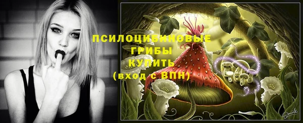 герыч Богородицк