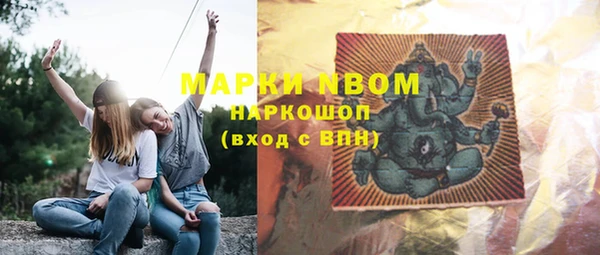 ECSTASY Богданович