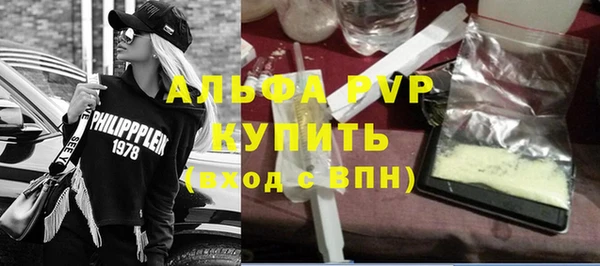 ECSTASY Богданович