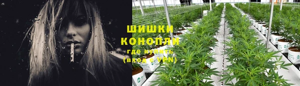 соль ск Богородск