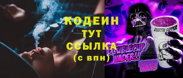ECSTASY Богданович